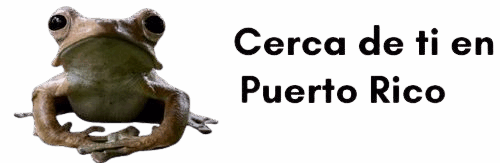 puerto rico cerca de mi